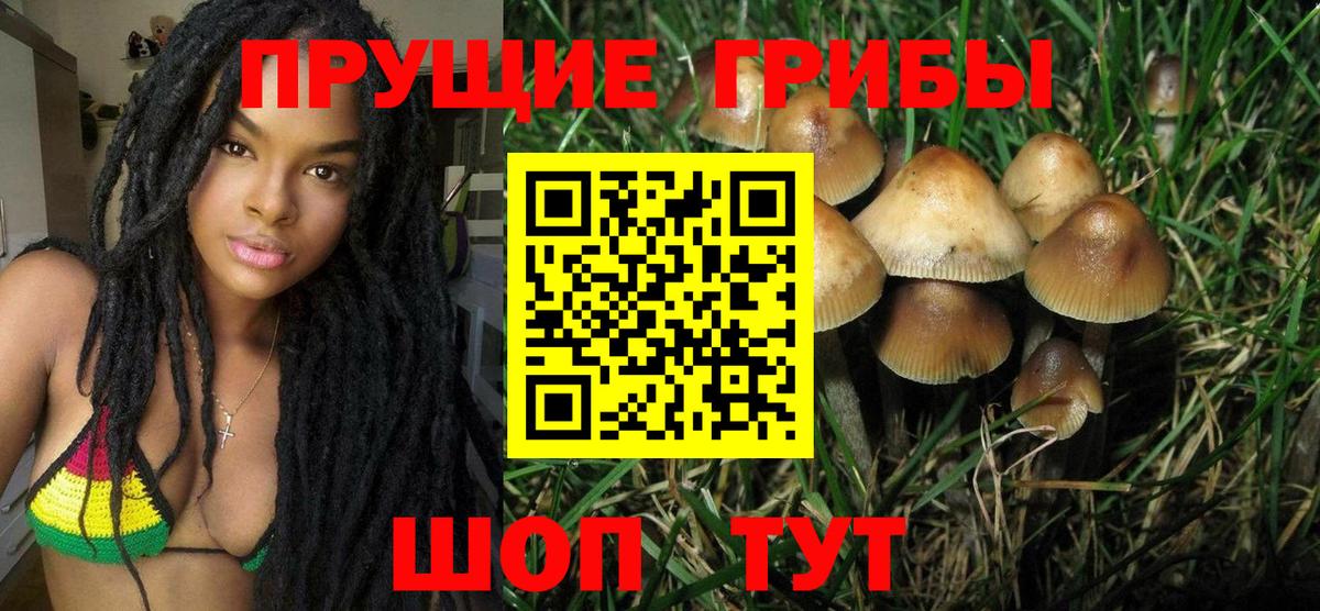 Донецк  Псилоцибиновые грибы Psilocybe  Вход с VPN  Галлюциногенные грибы Psilocybe 